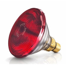 Bóng Đèn Hồng Ngoại Philip 150w